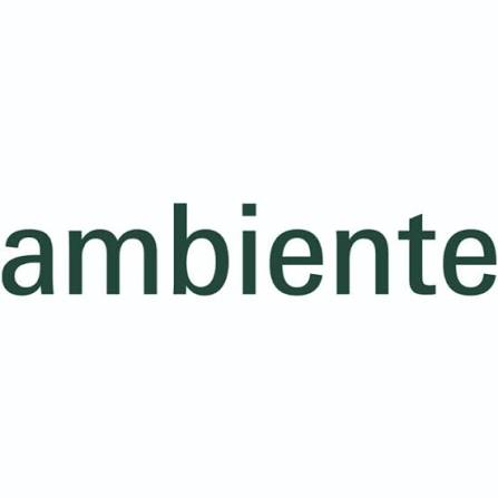 Ambiente 2027 logo